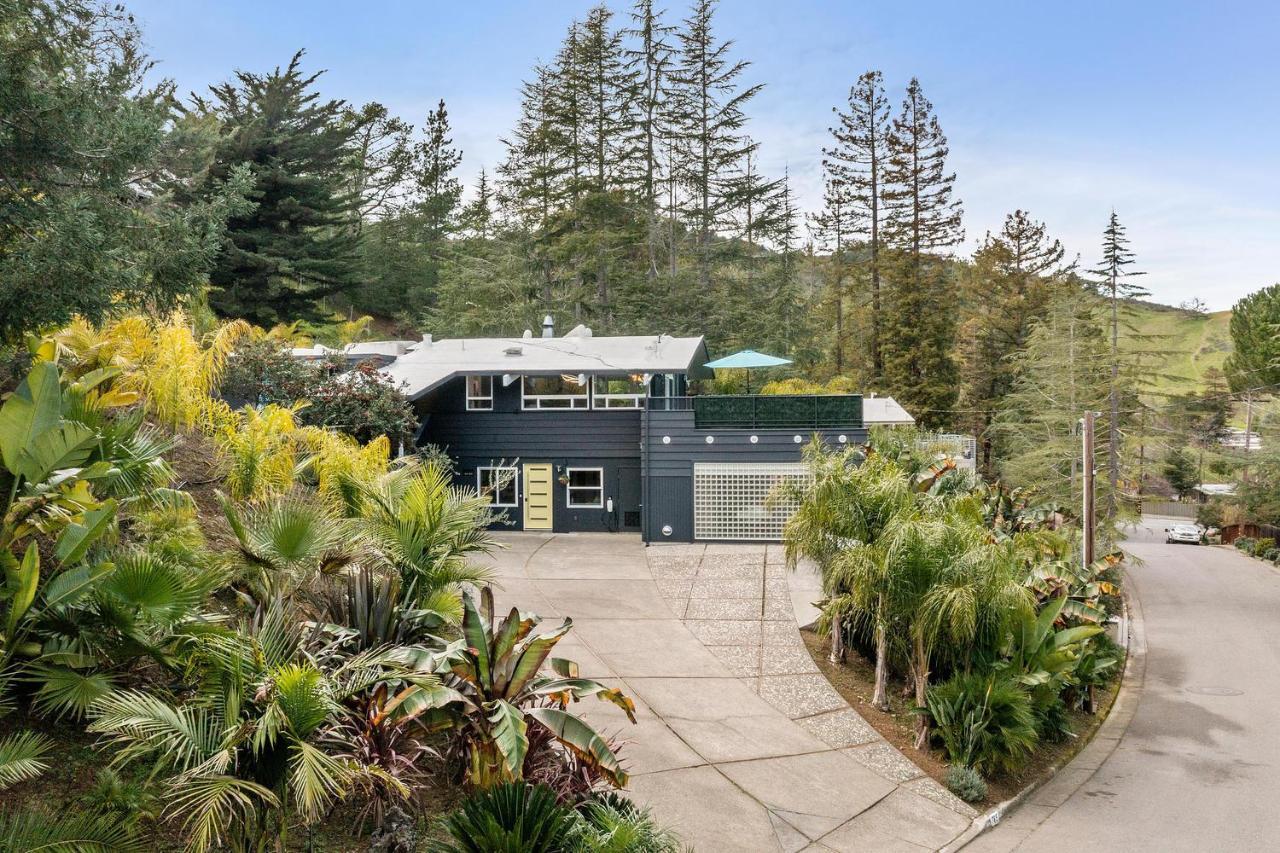 Luxury Suite With Views - San Rafael, Gateway To Sf & Wine Country Dış mekan fotoğraf