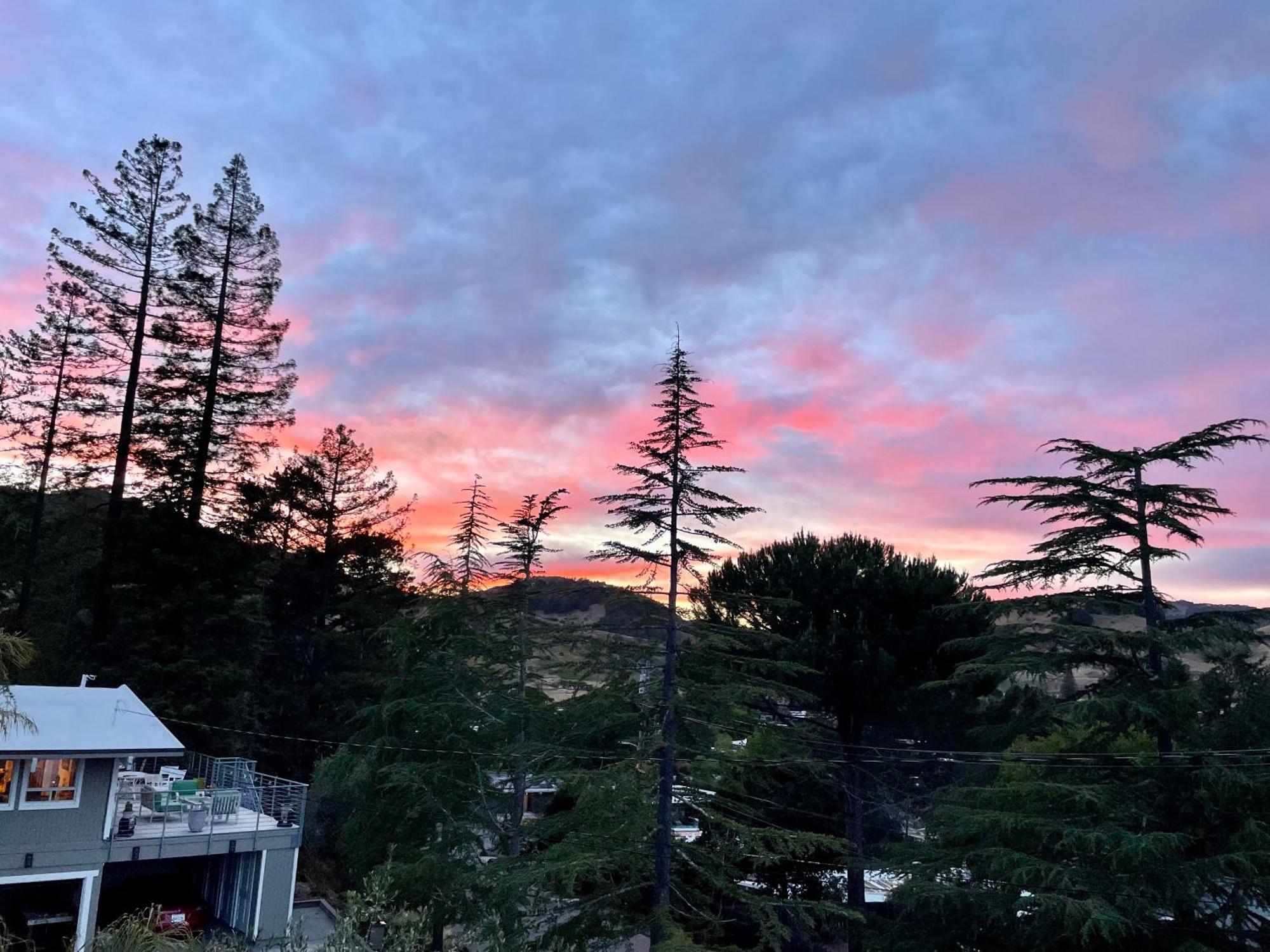 Luxury Suite With Views - San Rafael, Gateway To Sf & Wine Country Dış mekan fotoğraf