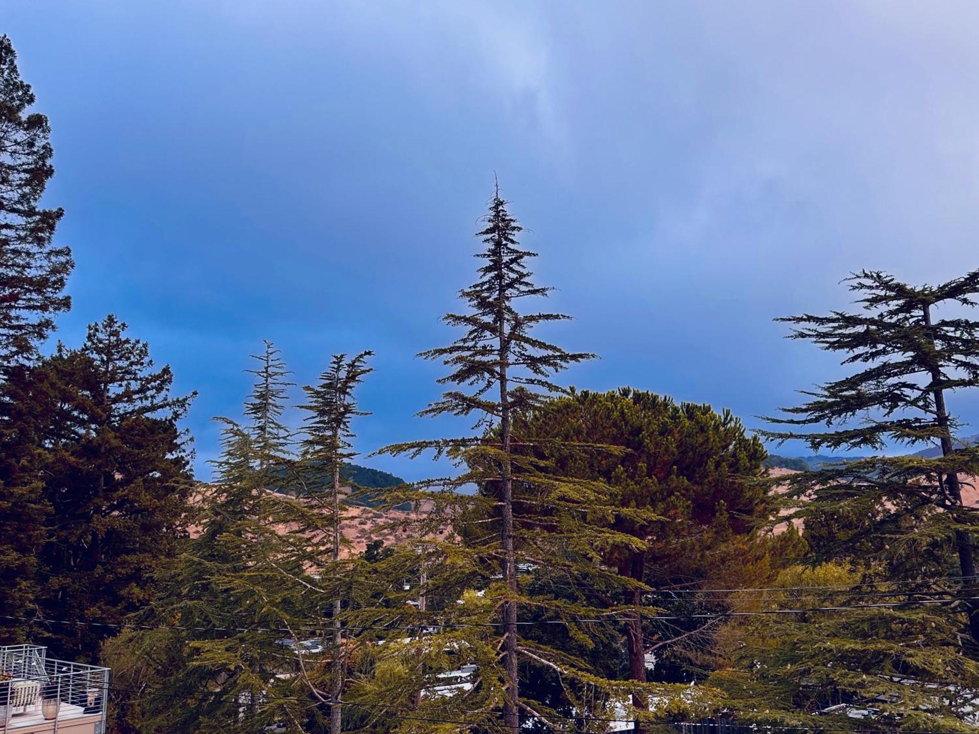 Luxury Suite With Views - San Rafael, Gateway To Sf & Wine Country Dış mekan fotoğraf